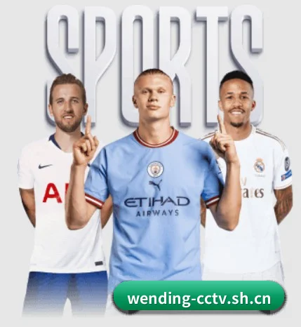 问鼎娱乐 APP - Wending